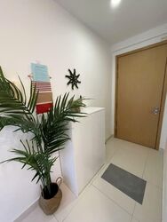 The Regency At Tiong Bahru (D3), Condominium #583635971